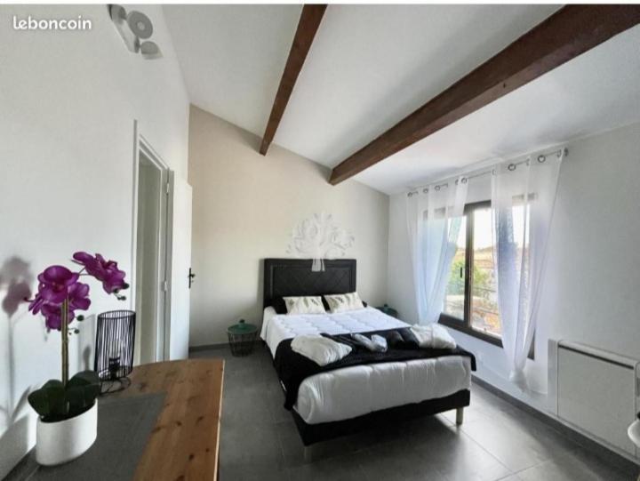 Villa Bandol Proche Du Port Et Des Plages Kültér fotó
